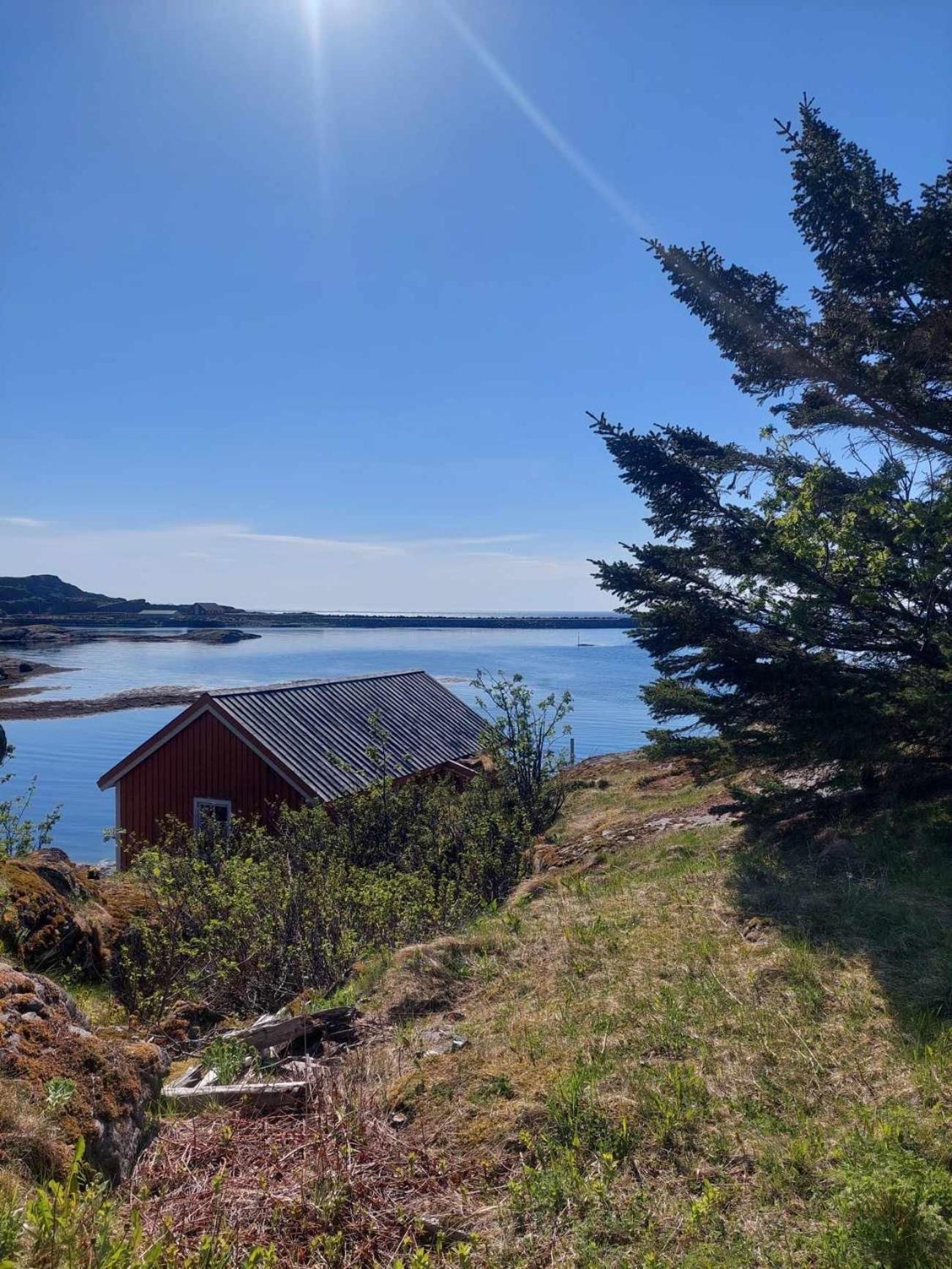 Moskenes Vacation Homes Eksteriør billede